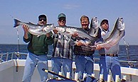 Fin Finder Charters